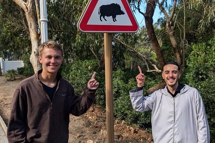 Tangier Private Day Trip from Tarifa or Malaga with Camel Ride
