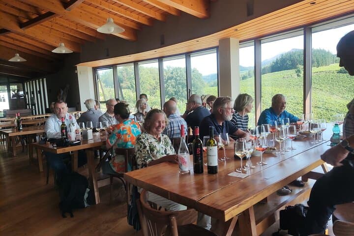Txakoli Wine Tasting & Local Flavors near Bilbao