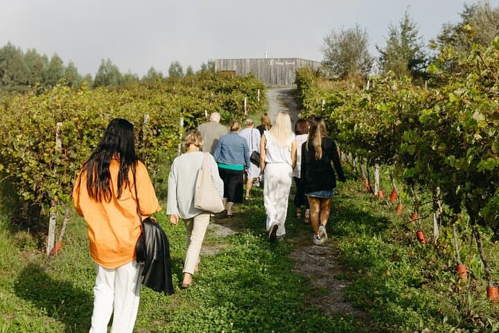 Txakoli Wine Tasting & Local Flavors near Bilbao