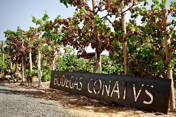 Fuerteventura: Wine Tasting and El Cotillo Afternoon Escape