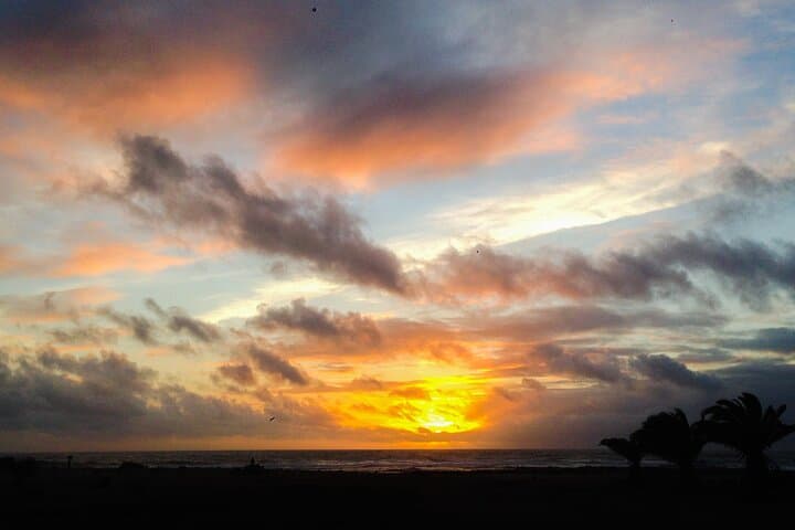 Fuerteventura: Wine Tasting and El Cotillo Afternoon Escape