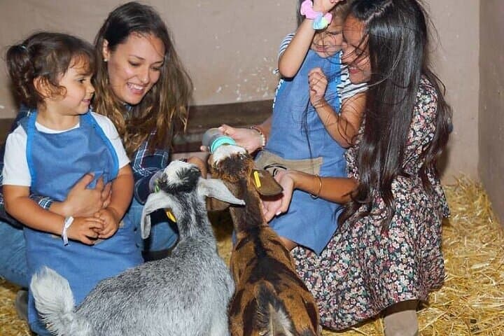 Farmer or farmer for a day