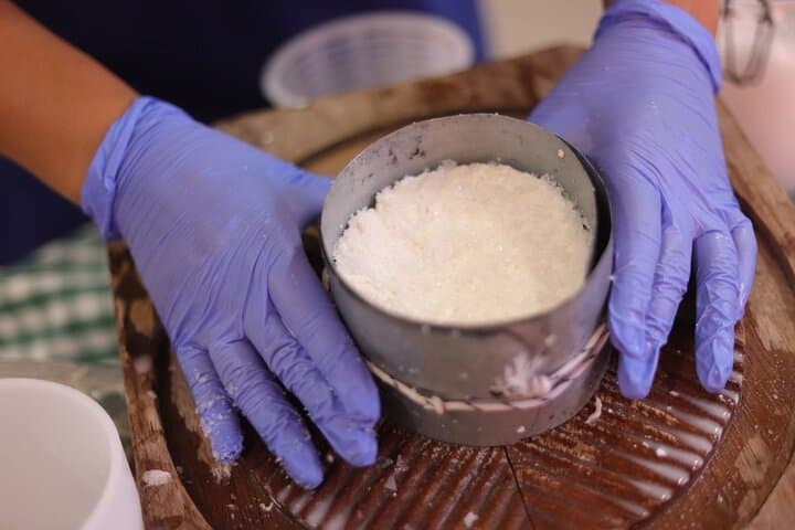 Cheese workshop