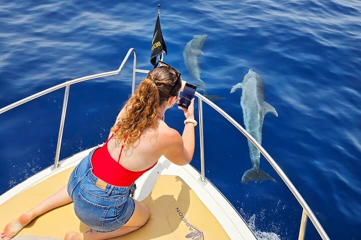 Whale watching and snorkelling in the whale sanctuary