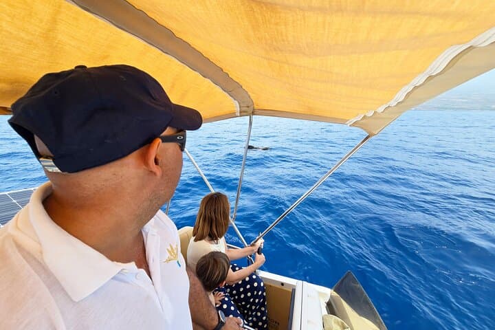 Whale watching and snorkelling in the whale sanctuary