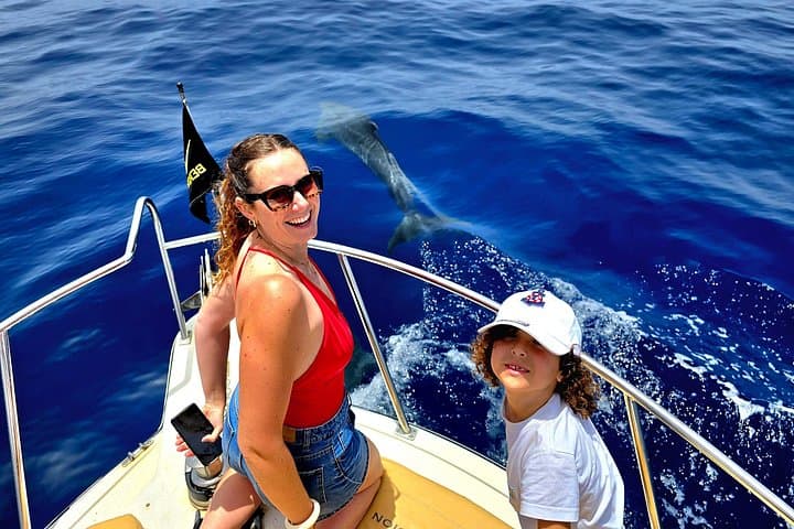 Whale and dolphin watching tour Los Gigantes and Masca in small groups
