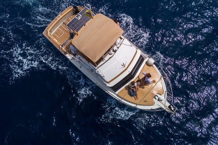 Whale and dolphin watching tour Los Gigantes and Masca in small groups