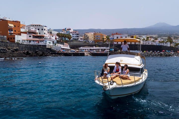 Whale and dolphin watching tour Los Gigantes and Masca in small groups