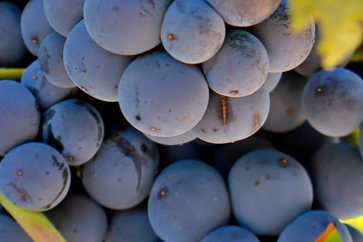 Visit Cuenca and a Vineyard in Spanish Tuscany from Madrid