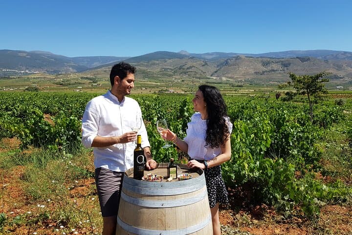A couple enjoying a wine tasting with vineyards