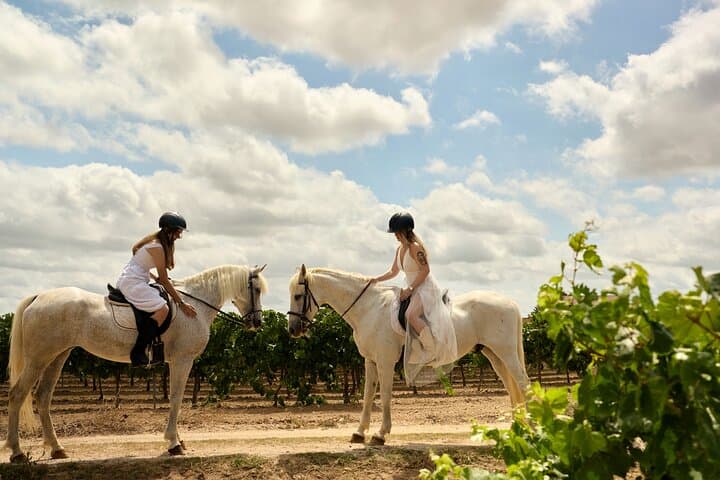 Barcelona: Private Horseback Riding + Luxury Winery Visit