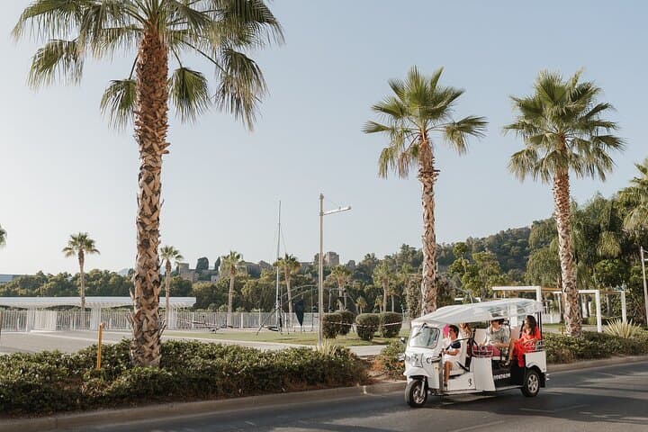 Malaga Private Eco Tuk Tuk Expert Tour with Local Guide