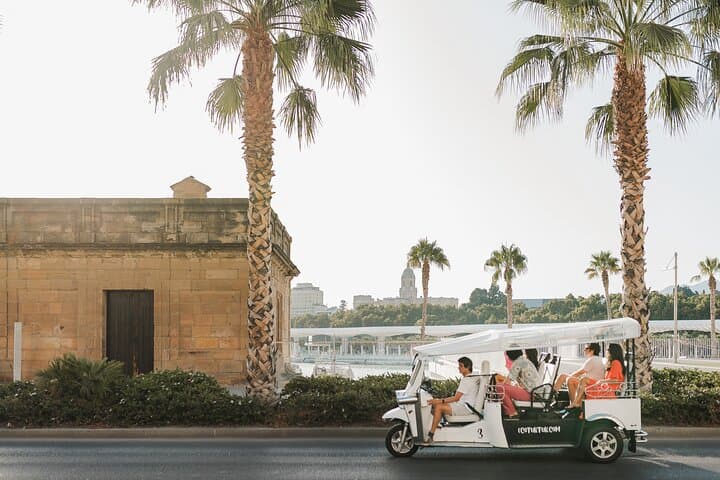 Malaga Private Eco Tuk Tuk Expert Tour with Local Guide