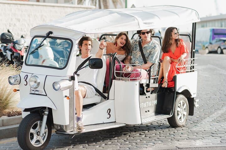 Malaga Private Eco Tuk Tuk Expert Tour with Local Guide