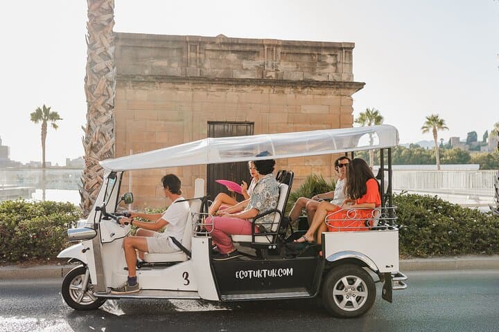 Malaga Private Eco Tuk Tuk Expert Tour with Local Guide