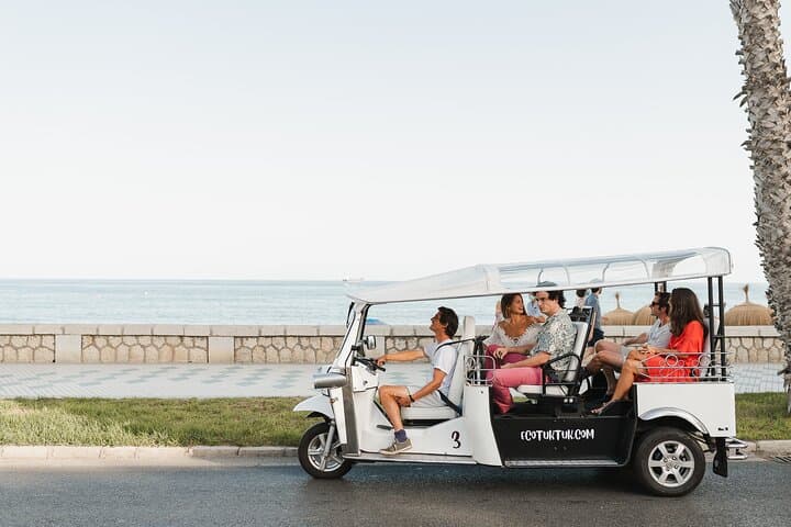 Tour Welcome to Malaga in Eco Tuk Tuk Private with Local Guide
