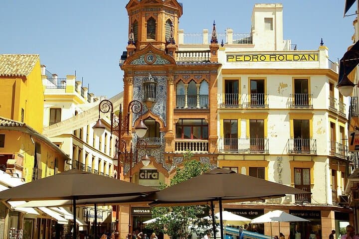 Sevilla Private Full day Tour From Marbella
