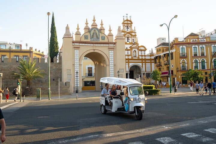 Tour Welcome to Seville in Eco Tuk Tuk Private with Local Guide
