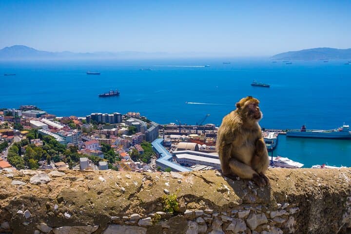 Gibraltar and Mijas Tour from Málaga full assistance