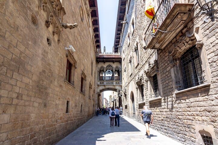 Barcelona Gothic Quarter and El Born Private Guided Tour