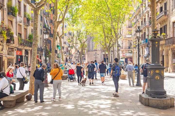 Barcelona Gothic Quarter and El Born Private Guided Tour