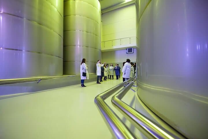 Jaén Discover the Secrets of Olive Oil: Tour & Sensory Tasting