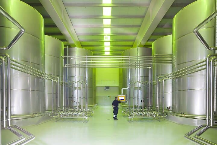 Jaén Discover the Secrets of Olive Oil: Tour & Sensory Tasting