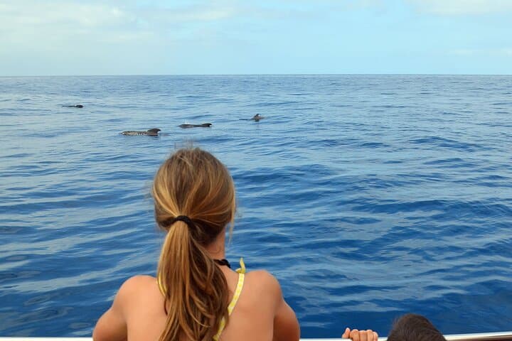 Respectful Whale Watching on a Wooden Boat and Swim