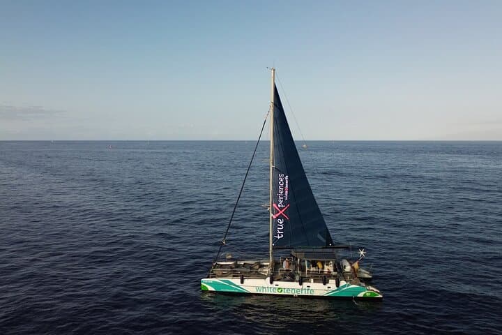 Eco catamaran with solar panels