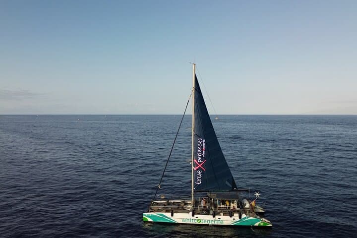 Eco catamarán sostenible con placas solares. Sustainable eco catamaran with solar panels.