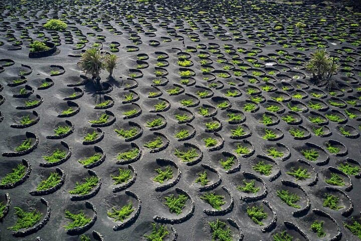 From the depths of the volcanic ash, a masterpiece is born. Excavated by hand, with the sole help of camels, this unique landscape reveals its secrets, a testament to the fury of nature and human pers