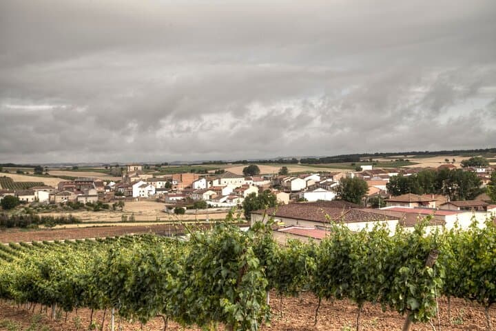 Ribera del Duero and La Rioja Wine and Nature Tour from Madrid