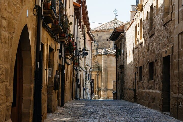 Ribera del Duero and La Rioja Wine and Nature Tour from Madrid