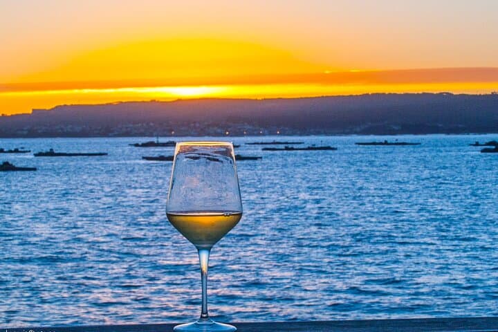 Albariño trails Private Wine Tour/Shore excursion from Vigo