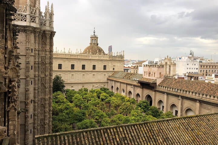 Discover the Patio de los Naranjos from above, a former mosque courtyard showcasing Seville’s rich history.