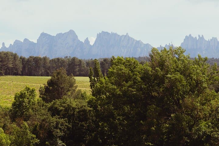 Montserraty from Oller