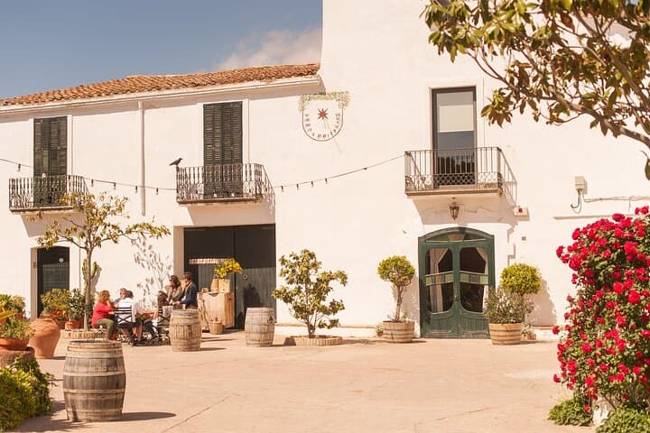 Montserrat & Boutique Winery with Catalan Brunch | Private Tour