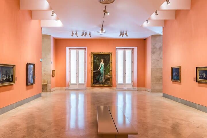 Thyssen to Bornemisza National Museum Entry Ticket