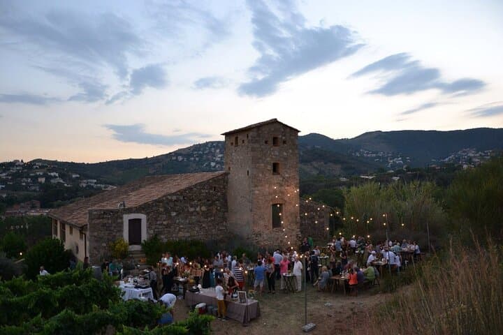 Wines & Wonders: Gaudí Unveiled & Premium Wine Escape