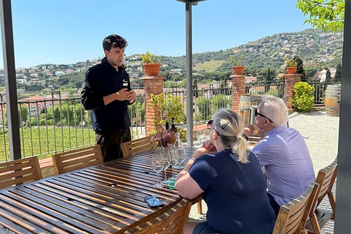 Wines & Wonders: Gaudí Unveiled & Premium Wine Escape