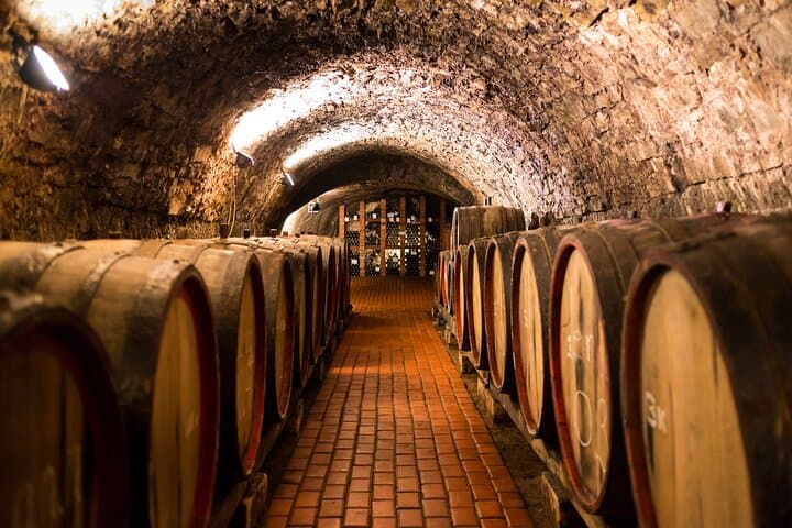 Excursion to Vitoria, La Rioja and winery in Laguardia from Bilbao
