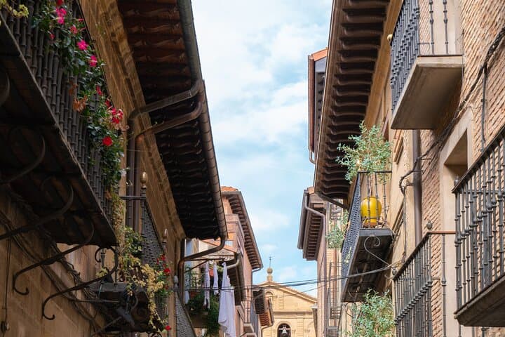 Excursion to Vitoria, La Rioja and winery in Laguardia from Bilbao