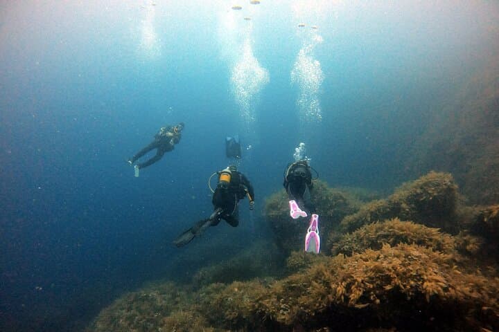 Mallorca: Discover Scuba Diving from the Boat