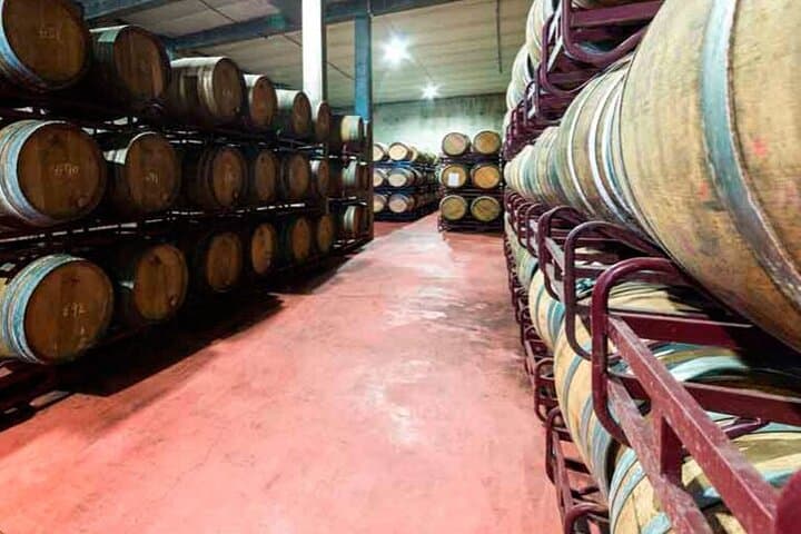 Behind the Wine: Guided Winery Tour & Tasting in Extremadura