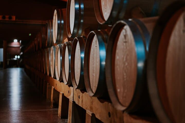Ribera del Duero Winery Tour & Wine Tasting Near Valladolid