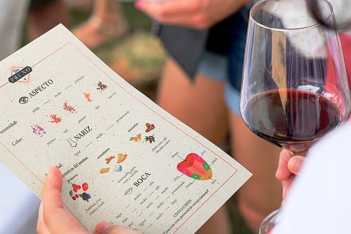 Ribera del Duero Winery Tour & Wine Tasting Near Valladolid