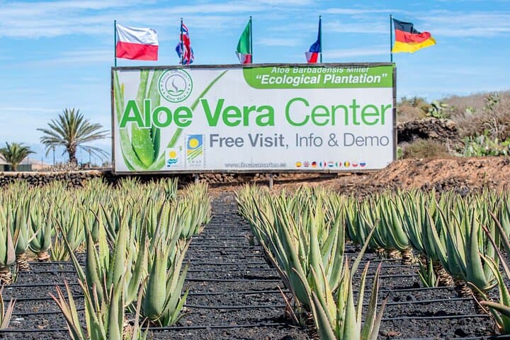 Fuerteventura: Exploring the northern Coast