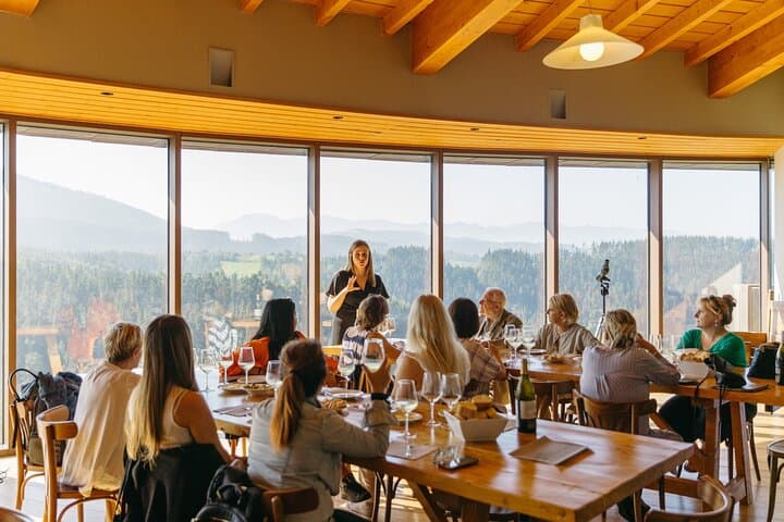 Bilbao: Txakoli and Local Flavors in the Urdaibai Biosphere