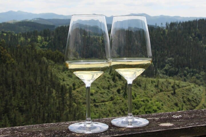 Bilbao: Txakoli and Local Flavors in the Urdaibai Biosphere