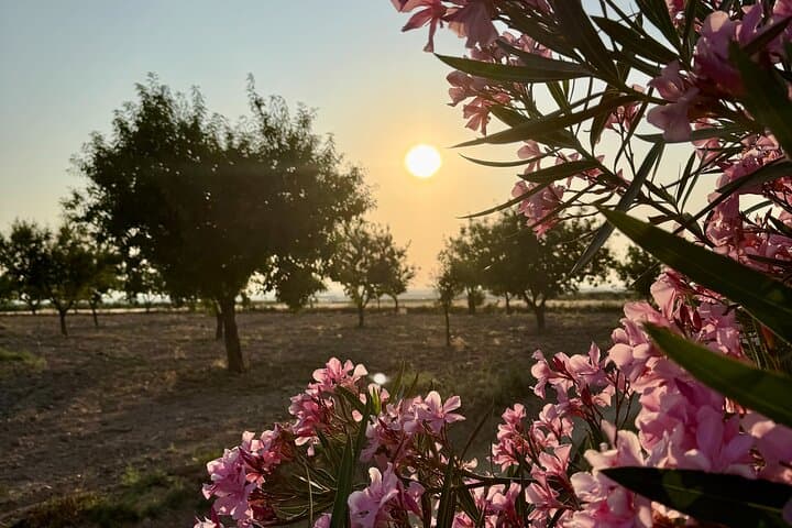 Private Stargazing Experience at Finca Astronomica